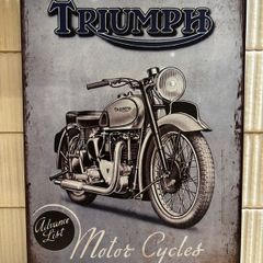 Triumph Tin Metal Sign