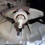 Manual Gearbox bmw e46 320d 2001-2004 Image 2