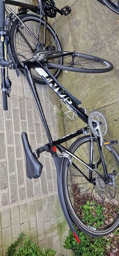 adult Bike
