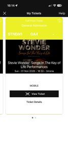1x Stevie Wonder Ticket Standing