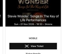 1x Stevie Wonder Ticket Standing