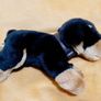Brand New Zaks Stuffed Plush Puppy Image 2