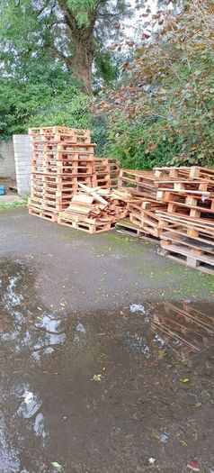 free pallets and timber