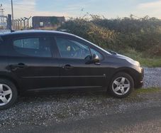 2010 Peugeot 207