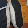 Golden Goose Image 7