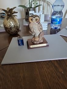 OWl ornament