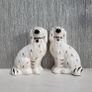Staffordshire Dogs Image 10