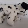 New dog soft beanie buddies with tag Image 3