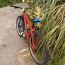27.5" Mountain Bike Image 3