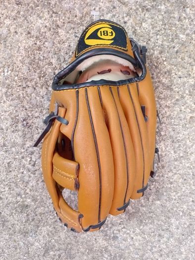 Baseball Glove