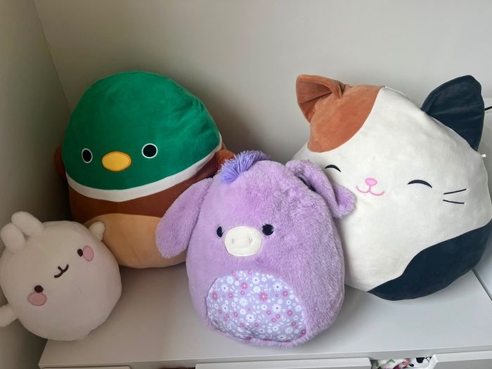 Election of soft toys