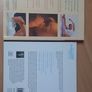 Pregnancy books Image 2