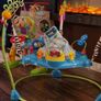 Baby Einstein Image 2