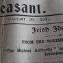 the irish nation papper Image 8