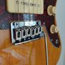 Revelation RTJ60 Marrakesh Microtonal Electric Guitar Image 3