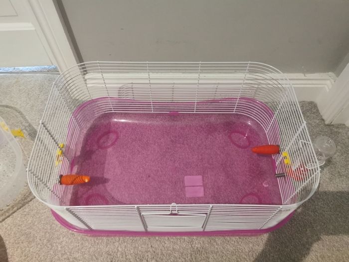 hamster cage and accessories