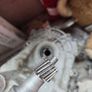 y21/s4c Gearbox speedo Image 5