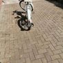 Vintage NSU Quickly (N) moped Image 8