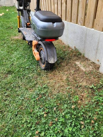 scooter