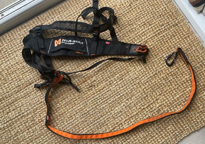 Non-stop dogwear CaniX belt Hands Free Dog Running Belt for Canicross. Comfortable Waist Belt for Jogging and Training Dogs. Black, Size M