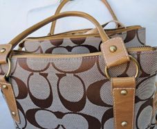 ladies bags