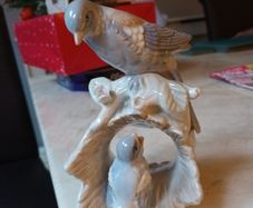 Mum & Baby  Bird.