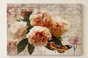 Floral &amp; Butterfly Canvas Vintage Style Wall Art