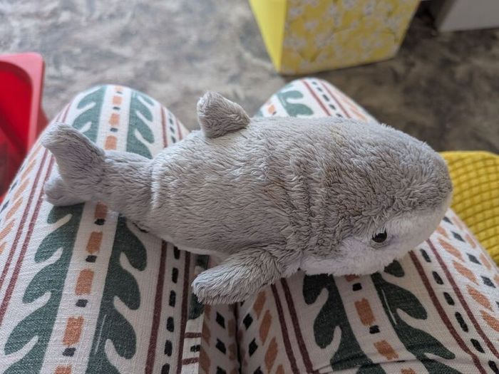 shark teddy