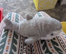 shark teddy
