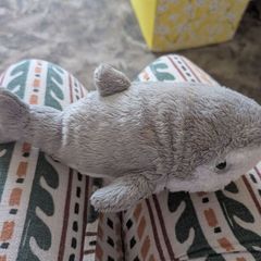 shark teddy