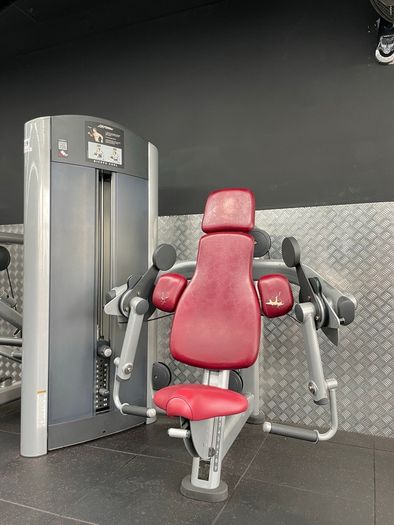 Tricep Dip and Bicep Curl Machine