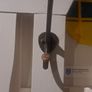 Edwardian Painted Hallstand Image 2