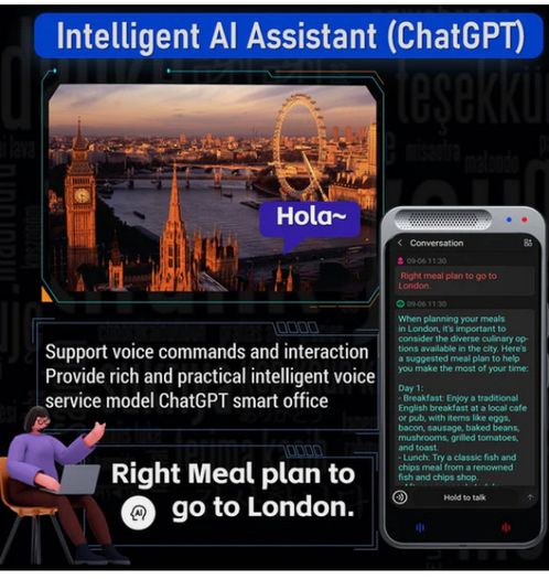 Vormor Z6 AI language translator Text Image Voice Online Offline