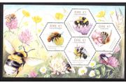 2018 Ireland Fauna &amp; Flora Native Irish Bees Commemorative Stamps Miniature Sheet Mint Never Hinged (MNH)