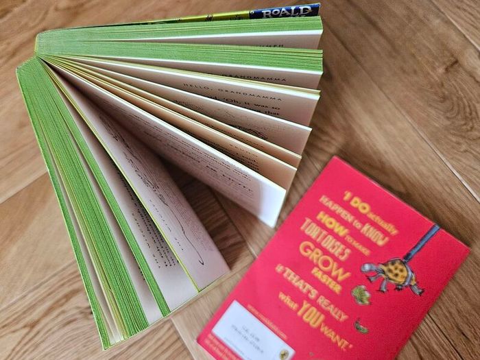 Roald Dahl The Witches + FREE Esio Trot