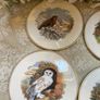 Vintage Coalport  pot pads Image 8