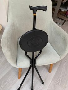 Walking stick with seat
