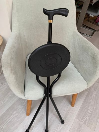 Walking stick with seat