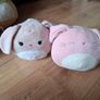 Squishmallow teddys Image 5