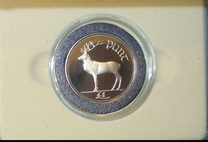 Frosted Proof Cupro-nickel One Pound Coin Issued In 1990