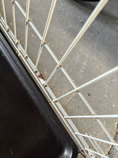 puppy /dog crate