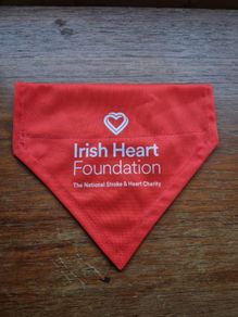 Dog Bandana Irish Health Foundation