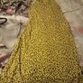 ladies dress from warehouse size 10 Image 2