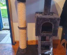 Cat climber/box/scratcher