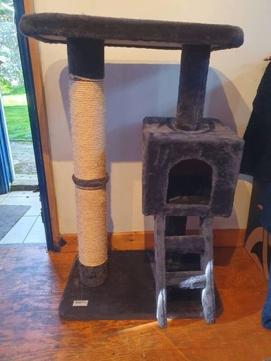 Cat climber/box/scratcher