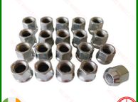 main image for ad 20 x New Ford Transit Custom Sport MK8 Nuts (WN20) Delivery