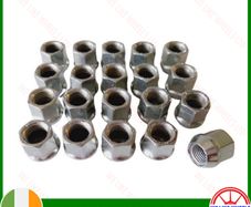 20 x New Ford Transit Custom Sport MK8 Nuts (WN20) Delivery