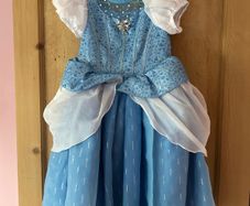 Disney Cinderella Dress & Shoes