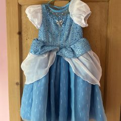 Disney Cinderella Dress & Shoes