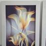 3 pictures with frame 53x72 cm each Image 5